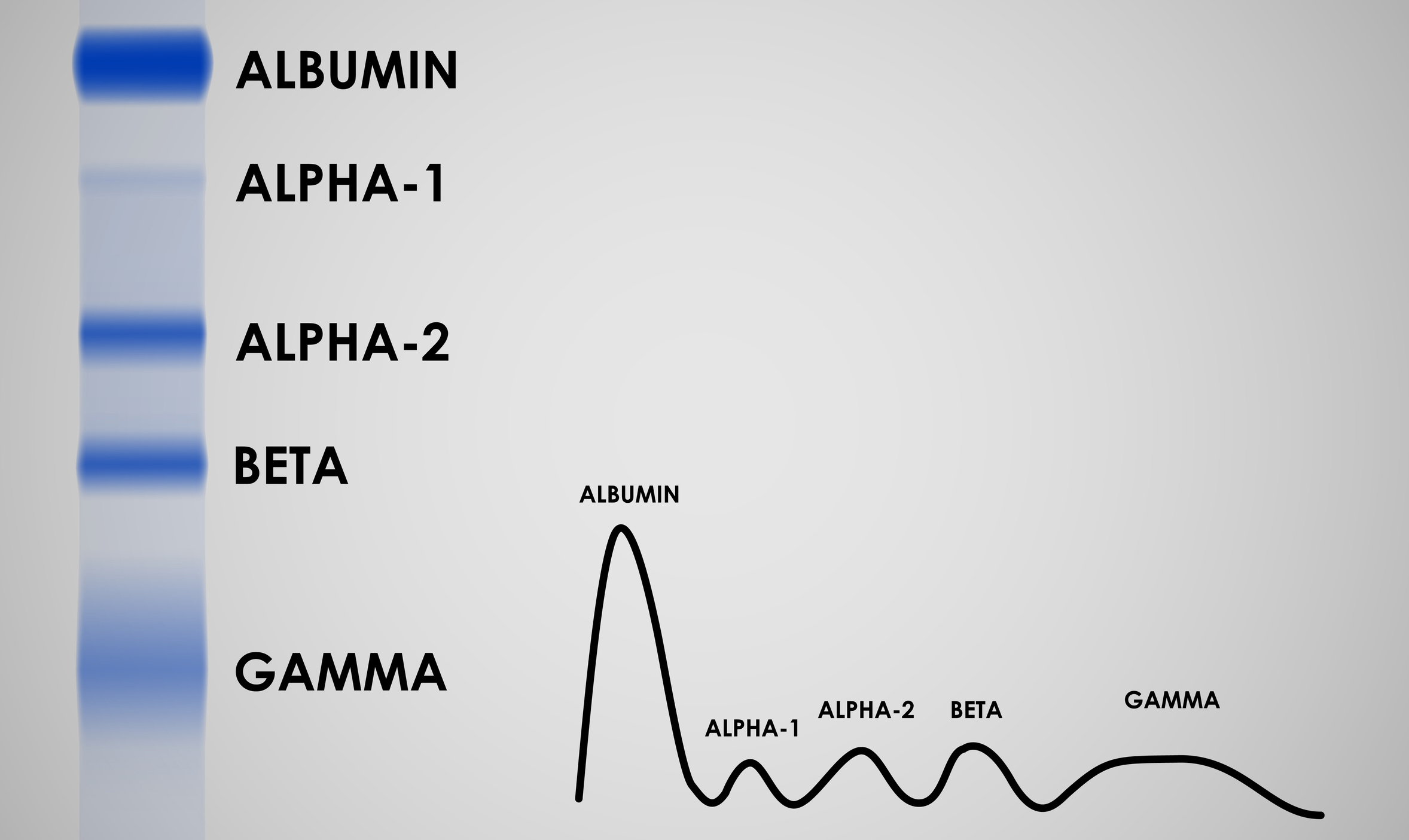 Image Biochimie